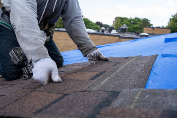 Roof Gutter Cleaning in Meridian, CO