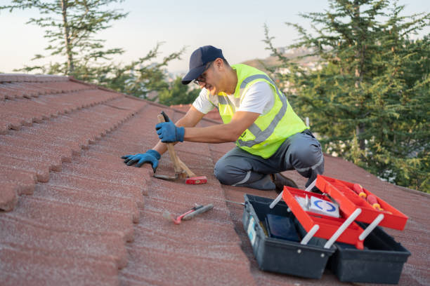 Roof Repair Estimates in Meridian, CO